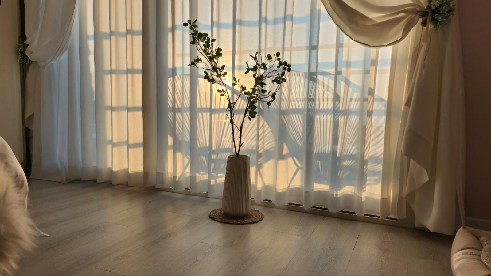 Pension Haneul Tari Jeju Extérieur photo